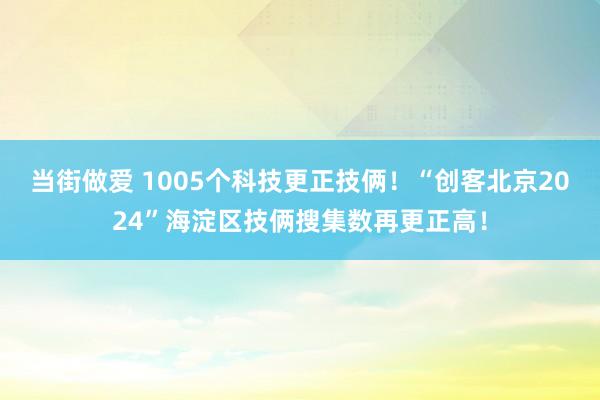 当街做爱 1005个科技更正技俩！“创客北京2024”海淀区技俩搜集数再更正高！