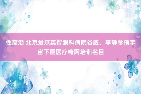 性高潮 北京爱尔英智眼科病院谷威、李静参预宇宙下层医疗糖网培训名目