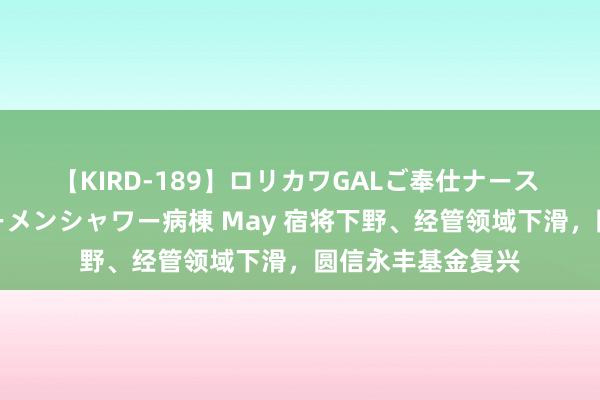 【KIRD-189】ロリカワGALご奉仕ナース 大量ぶっかけザーメンシャワー病棟 May 宿将下野、经管领域下滑，圆信永丰基金复兴