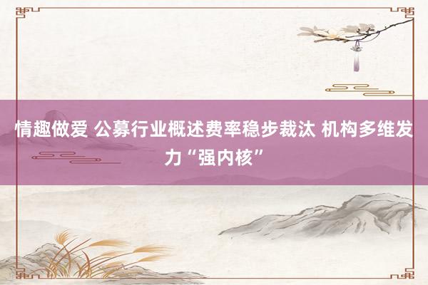 情趣做爱 公募行业概述费率稳步裁汰 机构多维发力“强内核”