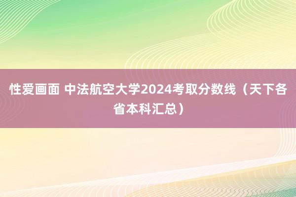 性爱画面 中法航空大学2024考取分数线（天下各省本科汇总）