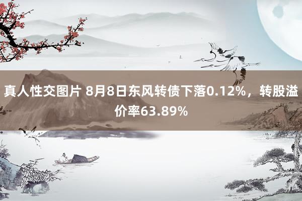 真人性交图片 8月8日东风转债下落0.12%，转股溢价率63.89%