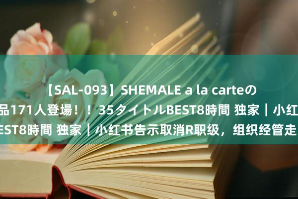 【SAL-093】SHEMALE a la carteの歴史 2008～2011 国内作品171人登場！！35タイトルBEST8時間 独家｜小红书告示取消R职级，组织经管走向扁平化