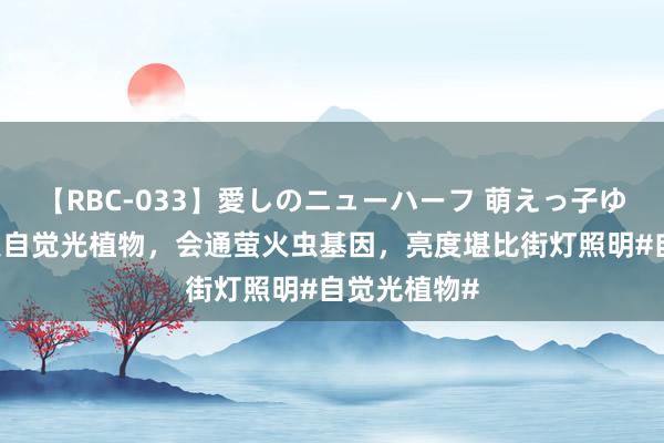 【RBC-033】愛しのニューハーフ 萌えっ子ゆか 我国研发自觉光植物，会通萤火虫基因，亮度堪比街灯照明#自觉光植物#