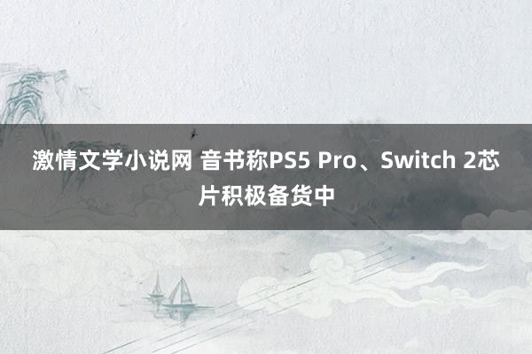 激情文学小说网 音书称PS5 Pro、Switch 2芯片积极备货中