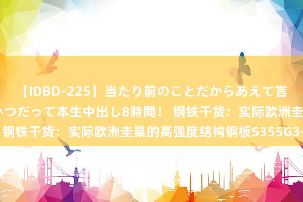 【IDBD-225】当たり前のことだからあえて言わなかったけど…IPはいつだって本生中出し8時間！ 钢铁干货：实际欧洲圭臬的高强度结构钢板S355G3+N