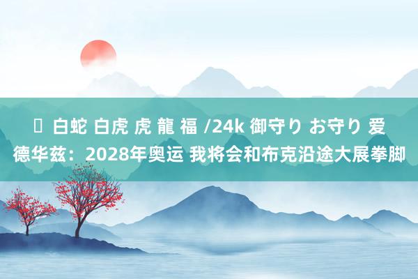 ✨白蛇 白虎 虎 龍 福 /24k 御守り お守り 爱德华兹：2028年奥运 我将会和布克沿途大展拳脚