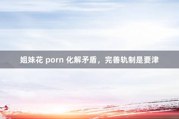 姐妹花 porn 化解矛盾，完善轨制是要津