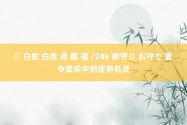 ✨白蛇 白虎 虎 龍 福 /24k 御守り お守り 夏令卖袄中的逆势机灵