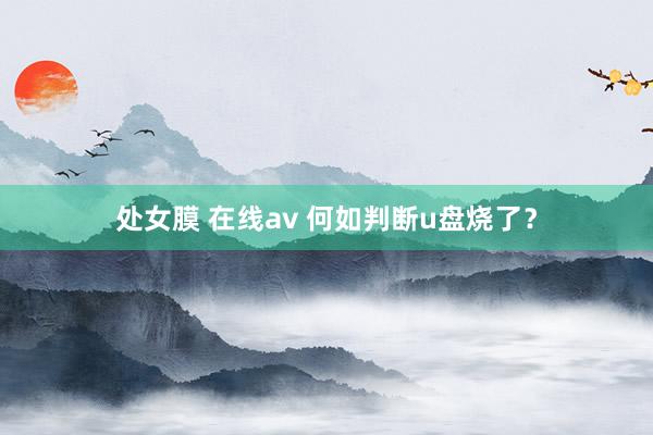 处女膜 在线av 何如判断u盘烧了？