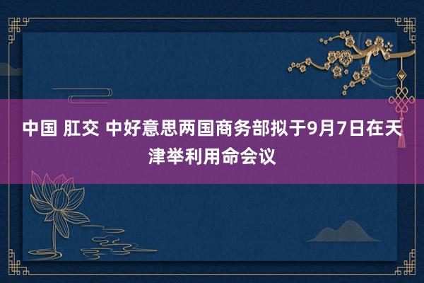 中国 肛交 中好意思两国商务部拟于9月7日在天津举利用命会议