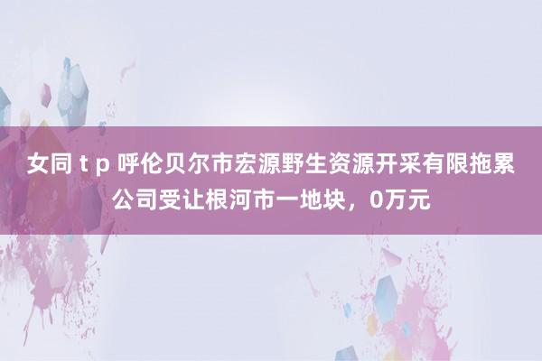 女同 t p 呼伦贝尔市宏源野生资源开采有限拖累公司受让根河市一地块，0万元