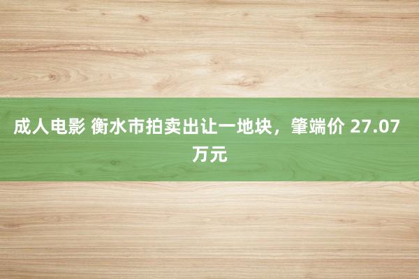 成人电影 衡水市拍卖出让一地块，肇端价 27.07 万元