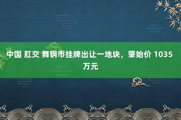 中国 肛交 舞钢市挂牌出让一地块，肇始价 1035 万元