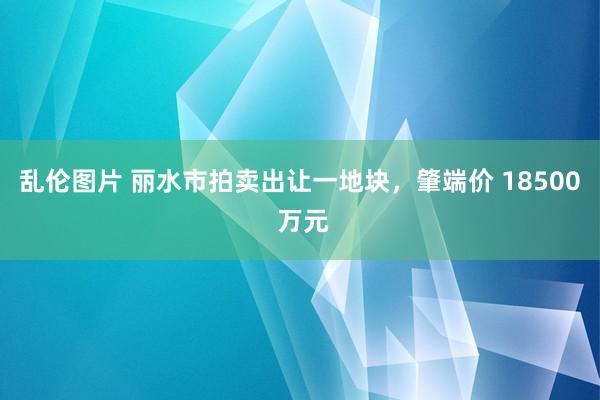 乱伦图片 丽水市拍卖出让一地块，肇端价 18500 万元